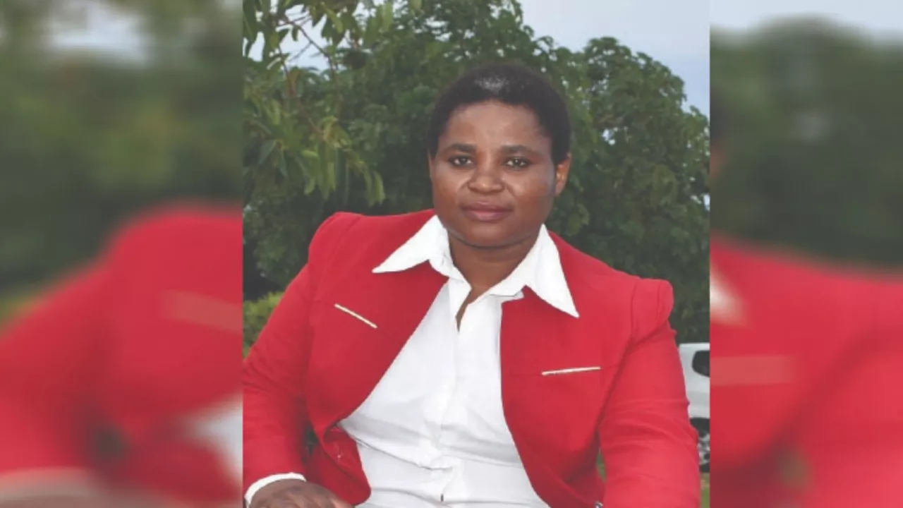 Jessie Majome Was Reassigned Before: Presidential Spokesperson Hits Back At Lawyers Over ZHRC Move