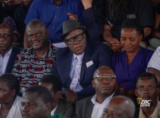 Law Society Of Zimbabwe Slams  ‘Rushed, Limited, Violent’ Constitutional Amendment Hearings