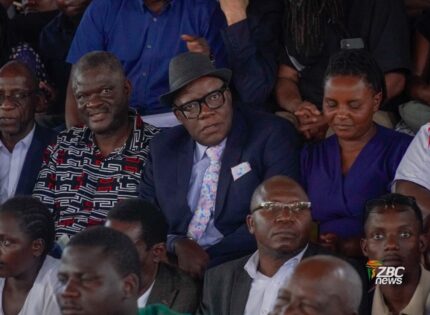 Law Society Of Zimbabwe Slams ‘Rushed, Limited, Violent’ Constitutional Amendment Hearings