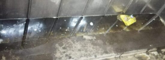 WhatsApp Image 2026 04 26 at 122522 PM 1 1024x1024