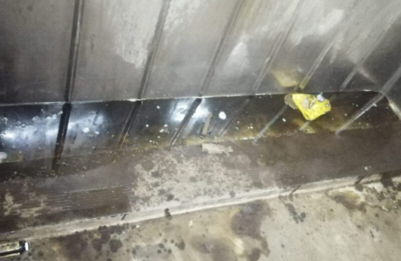 WhatsApp Image 2026 04 26 at 122522 PM 1 1024x1024