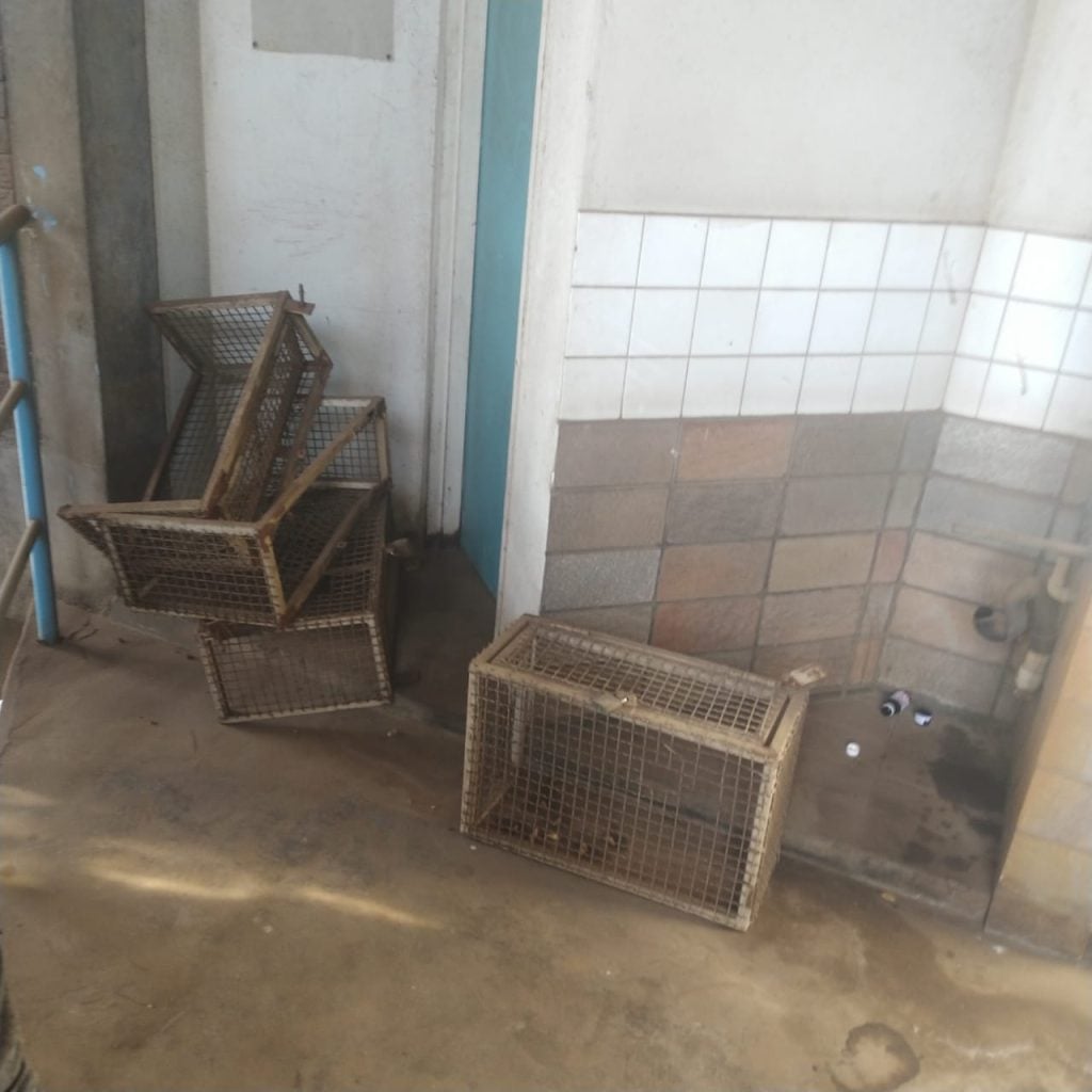 Rufaro Stadium Toilets