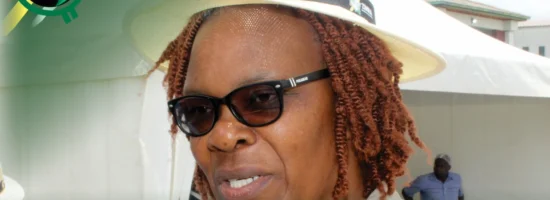 ZIMRA Commissioner General Regina Chinamasa 1280px t