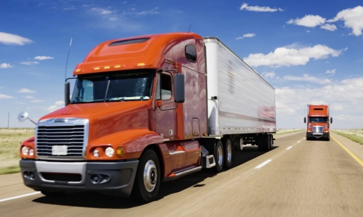 Horror Crash: Truck Driver Loses Licence After Killing Hitchhiker – Fined US$600