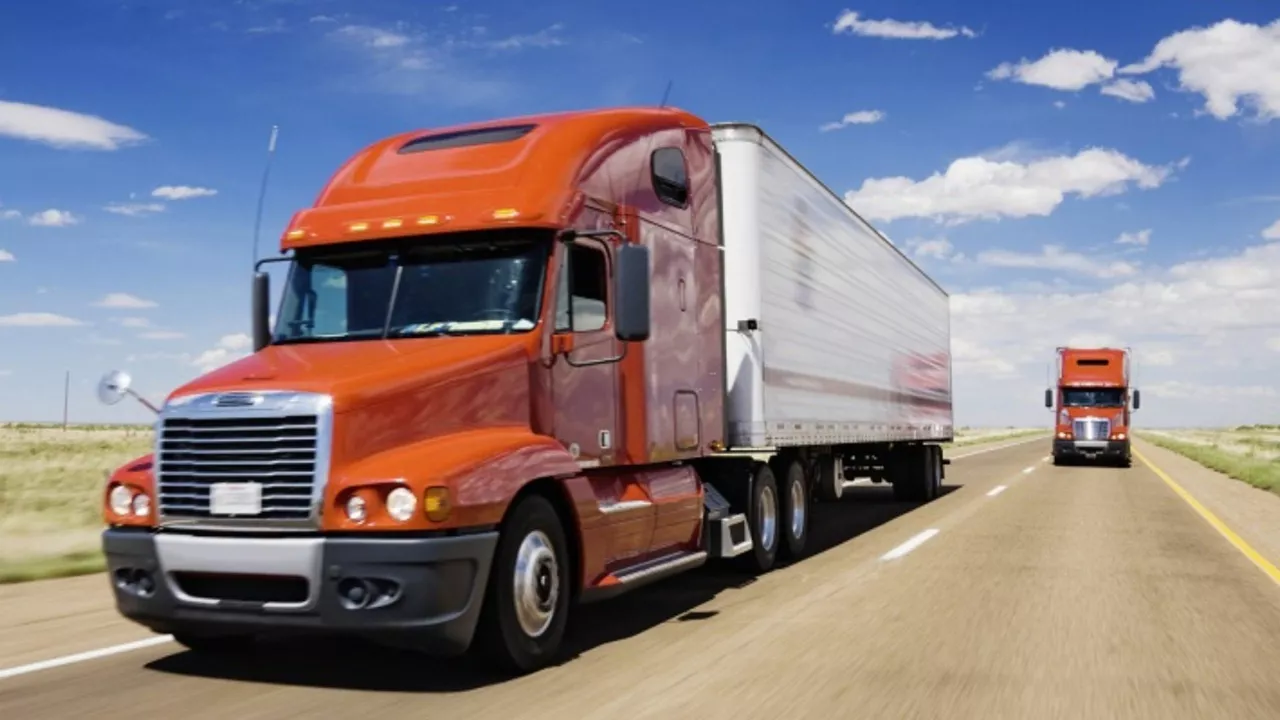 Truck driver’s licence cancelled after running over hitchhiker on Harare–Mutare highway, with court citing negligence in fatal 2022 accident.