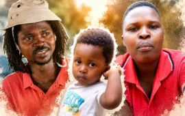 Motsoaledi Pledges Help To Repatriate Zimbabwean Mother And Son Killed In Crash Involving His Official Car