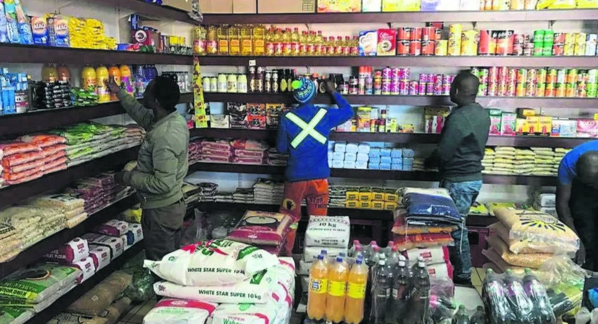 Zimbabwe Creates Nearly Half A Million Jobs In Two Years: NSSA Data Raises Questions