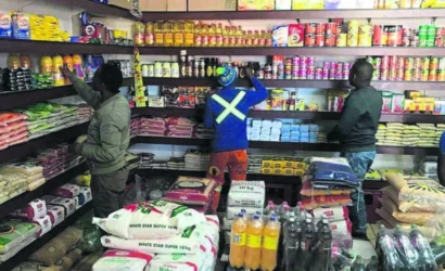 Zimbabwe Creates Nearly Half A Million Jobs In Two Years: NSSA Data Raises Questions