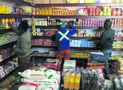 Zimbabwe Creates Nearly Half A Million Jobs In Two Years: NSSA Data Raises Questions