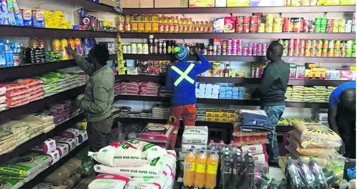 Zimbabwe Creates Nearly Half A Million Jobs In Two Years: NSSA Data Raises Questions