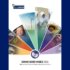 DGI 2026 Press Release Cover