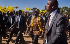 OPINION: Why the Opposition Approach Must Shift From Resistance to Adaptation of Constitution Amendment Bill 3