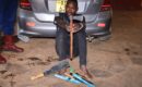 Driver Arrested After Police Find Skinned Cow Carcass In Honda Fit