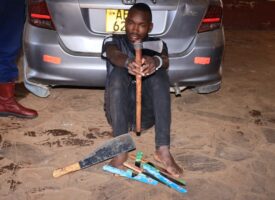 ZRP Stocktheft