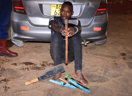 Driver Arrested After Police Find Skinned Cow Carcass In Honda Fit