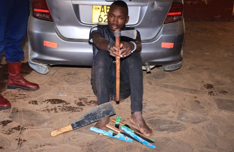 ZRP Stocktheft