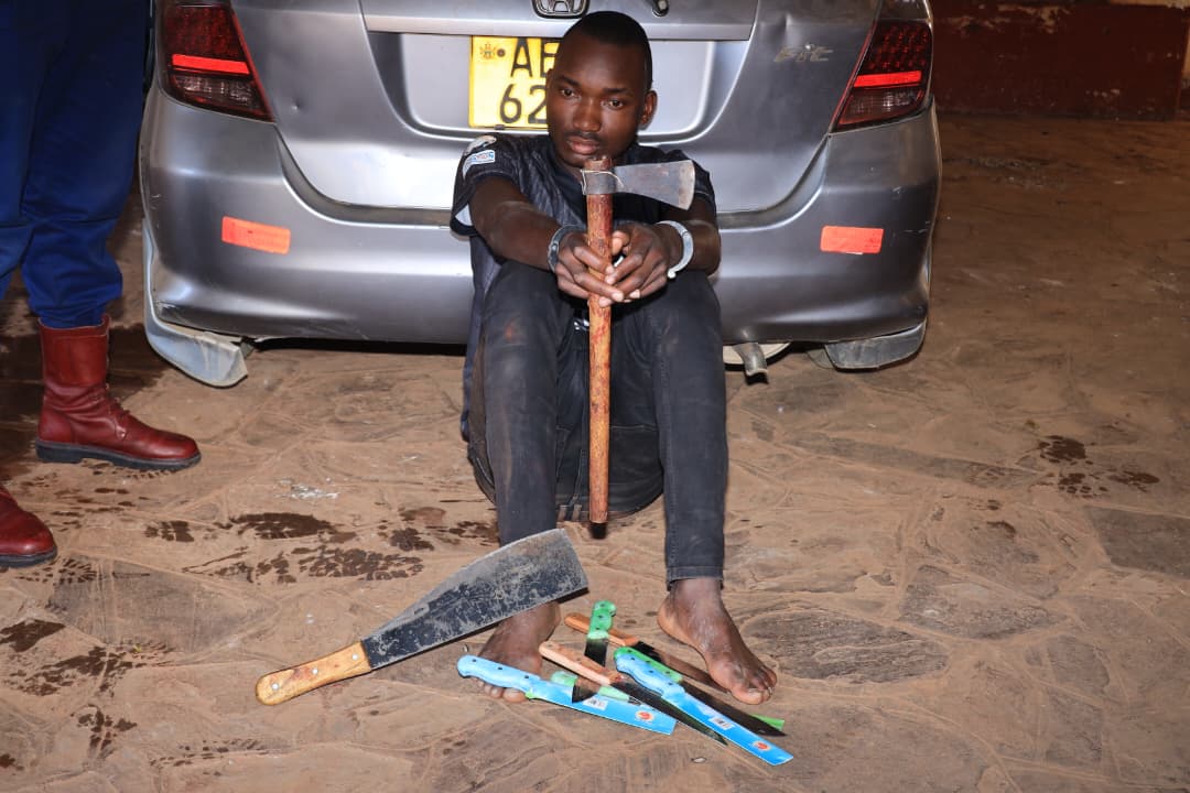 Driver Arrested After Police Find Skinned Cow Carcass In Honda Fit