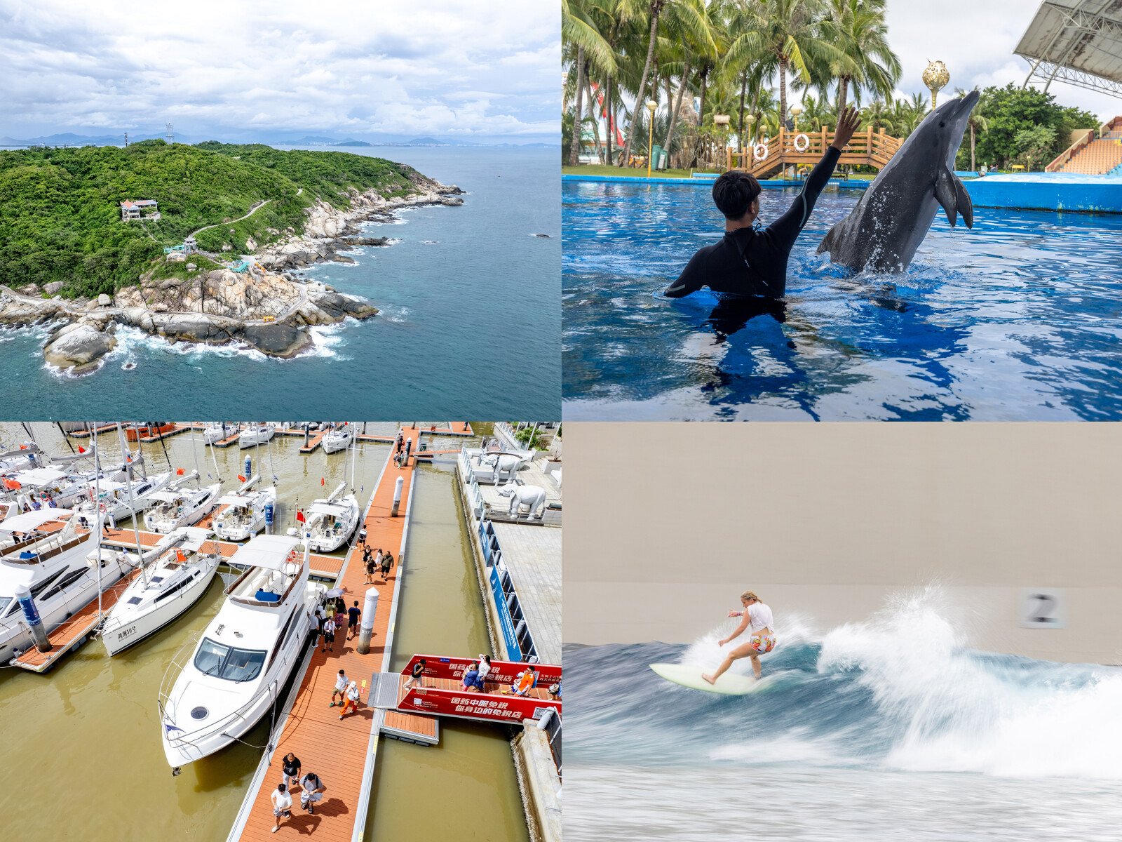 Caption: Global Media Explore Hainan Free Trade Port, Unlocking the New Vitality of the "Ocean Economy"