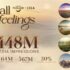 809623 TAT Amazing Thailand Amba